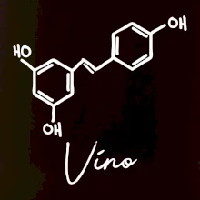 Barová chémia - víno