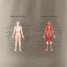 Skelet and Moscular system