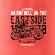 Raisin Hell Moto Racer
