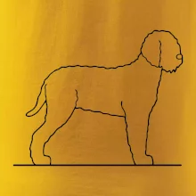 Lagotto romagnolo stojaci