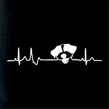 Jack Russell Teriér hrubosrstý Ekg