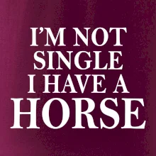I have a horse