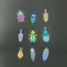 Farebné chrobáky (studio-arte.cz)