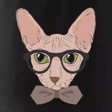 Hipster sphynx Hipster sphynx