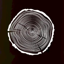 Letokruhy 45 bez veku