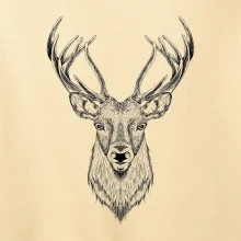 Jeleň kresba Jeleň kresba