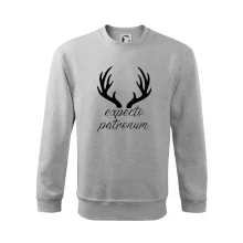 Harry - Expecto patronum Harry - Expecto patronum