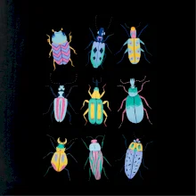 Farebné chrobáky (studio-arte.cz) Farebné chrobáky (studio-arte.cz)