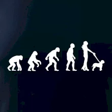 Lagotto romagnolo Evolúcia