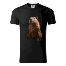 Kapybara spredu čierna fotka Kapybara spredu čierna fotka