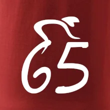 Cyklista oslavuje šesťdesiatpäťku (65)