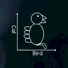 Cat bird diagram Cat bird diagram