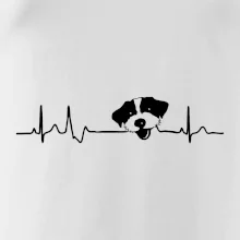 Jack Russell Teriér hrubosrstý Ekg Jack Russell Teriér hrubosrstý Ekg