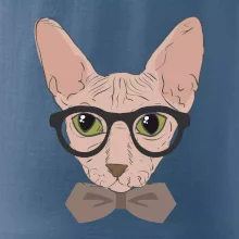 Hipster sphynx