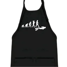 Evolúcia potápanie Evolúcia potápanie