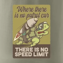 Korytnačka na cestách