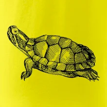 Ceruzkou kreslená korytnačka