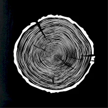 Letokruhy 90 bez veku