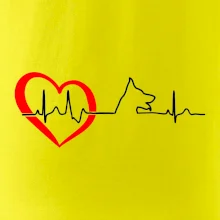 Nemecký ovčiak ekg