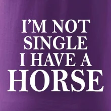 I have a horse I have a horse