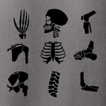 Röntgen - ikony Röntgen - ikony