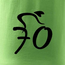 Cyklista oslavuje sedemdesiatku (70)