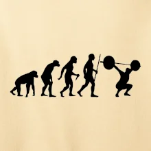 Evolution fitness