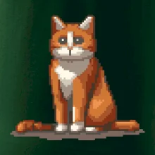 Mačka hrdzavá Mačka hrdzavá