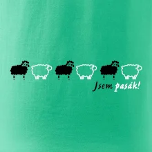 Som pasák - ovce v rade