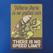 Korytnačka na cestách