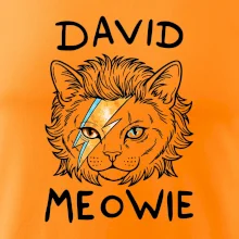 David Meowie