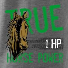 True Horse Power 1 HP True Horse Power 1 HP