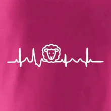 Ekg ovce Ekg ovce