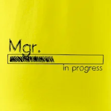 In progress titul Mgr. magister / magistra