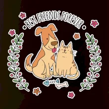 Mačka a pes best friends