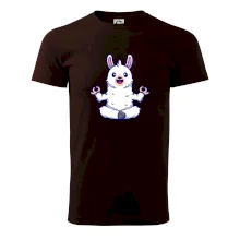 Yoga meditácie - lama