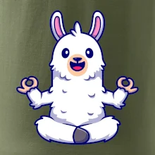 Yoga meditácie - lama