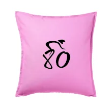 Cyklista oslavuje osemdesiatiny  (80)