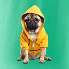 Mops v mikine Mops v mikine