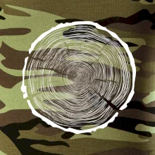 Letokruhy 100 bez veku Letokruhy 100 bez veku