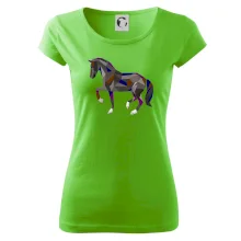 Kôň geometria farebný