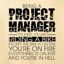 Being A Project Manager - bike