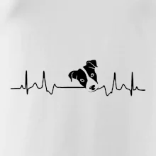 Jack Russell Terriér - hlava