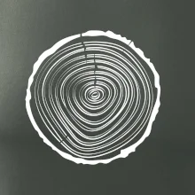 Letokruhy 20 bez veku