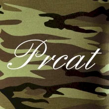 Prcat (súložiť vulgárne) Prcat (súložiť vulgárne)