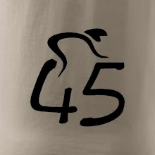 Cyklista oslavuje štyridsaťpäťku (45)