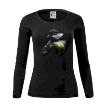 Sýkorka koňadra čierna fotka Sýkorka koňadra čierna fotka