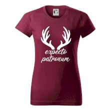 Harry - Expecto patronum Harry - Expecto patronum