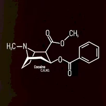 Molekulárna štruktúra Cocaine Kokaín