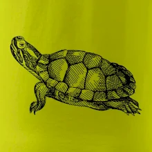 Ceruzkou kreslená korytnačka